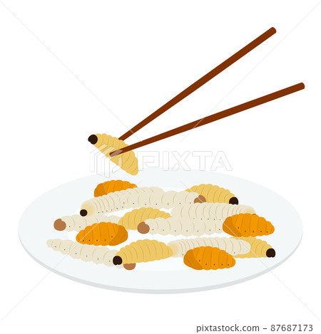Illustration of edible larvae and pupae on a plate Illustration of edible larvae and pupae on a plate 87687173