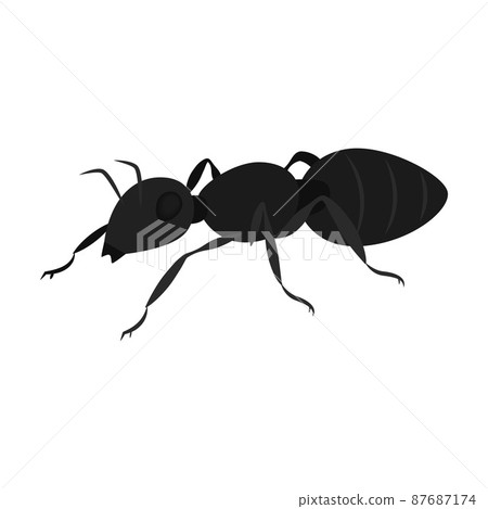 Illustration of black ants 87687174