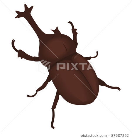 Beetle illustration 87687262