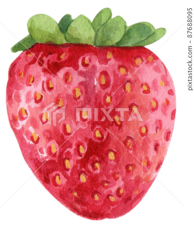 Strawberry harvest and decor watercolor png icon Strawberry harvest and decor watercolor png icon 87688095