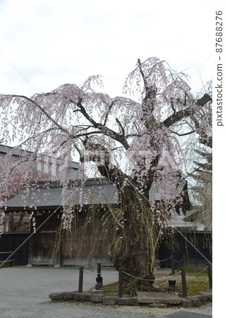 角屋 角屋 87688276