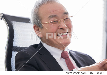 Portrait of a business executive Portrait of a business executive 87688303