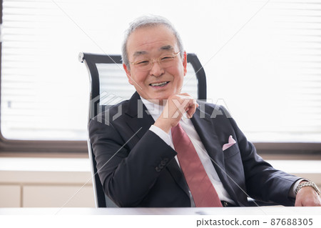 Portrait of a business executive Portrait of a business executive 87688305
