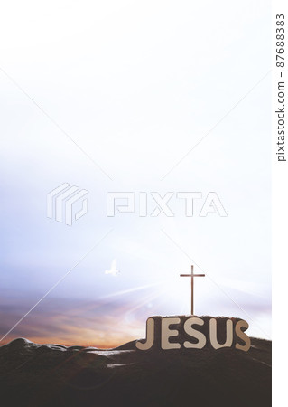 Shining holy cross of Jesus Christ, dove and JESUS lettering Shining holy cross of Jesus Christ, dove and JESUS lettering 87688383