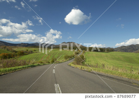 Prairie road 87689077