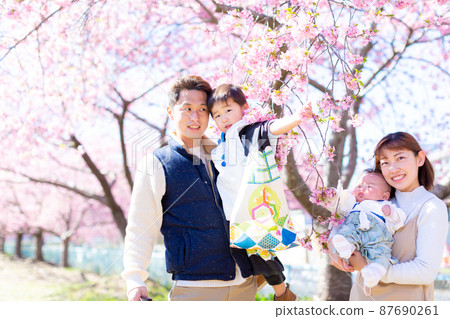 Family photo cherry blossom viewing Family photo cherry blossom viewing 87690261