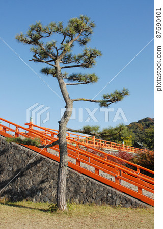Uji scenery Asagiri Bridge and pine trees Uji City, Kyoto Prefecture 87690401