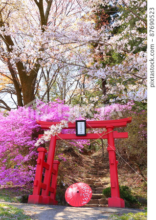 Akiruno City Amiyo Bentenyama Sakura Akiruno City Amiyo Bentenyama Sakura 87690523