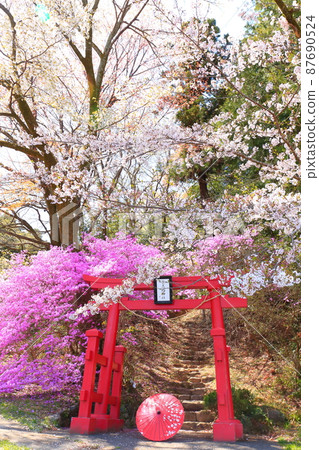 Akiruno City Amiyo Bentenyama Sakura Akiruno City Amiyo Bentenyama Sakura 87690524