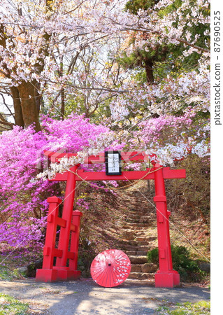 Akiruno City Amiyo Bentenyama Sakura Akiruno City Amiyo Bentenyama Sakura 87690525