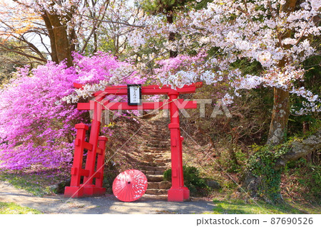 Akiruno City Amiyo Bentenyama Sakura Akiruno City Amiyo Bentenyama Sakura 87690526
