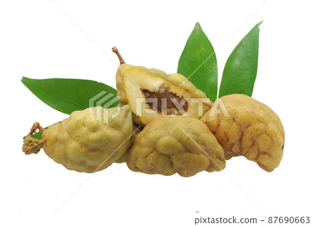 Cynometra cauliflora fruits isolated on white background Cynometra cauliflora fruits isolated on white background 87690663