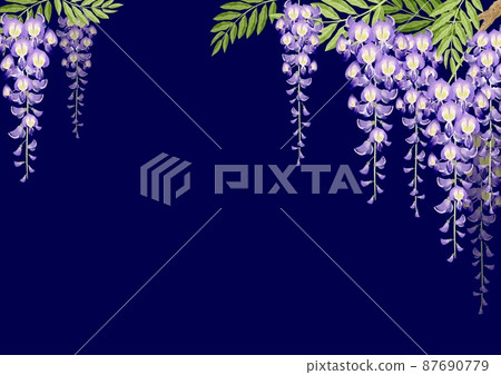 Wisteria flowers Spring flowers Summer flowers Background frame Watercolor illustration 87690779