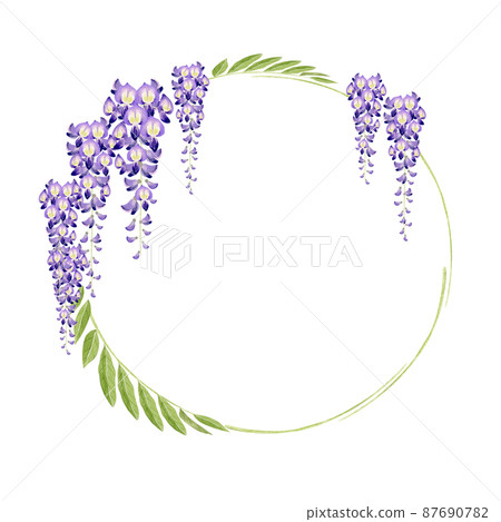 Wisteria flowers Spring flowers Summer flowers Frame watercolor illustration 87690782