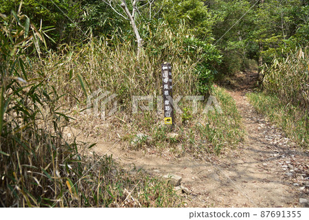 六甲山相馬溪谷和山寺山脊支線 六甲山相馬溪谷和山寺山脊支線 87691355
