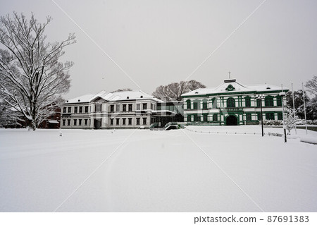 Snow scene of the National Craft Museum Snow scene of the National Craft Museum 87691383
