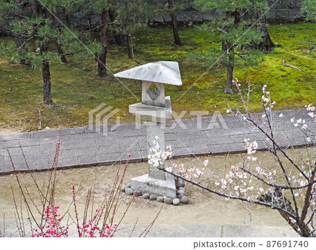 Triangular stone lanterns and red and white plum blossoms Triangular stone lanterns and red and white plum blossoms 87691740