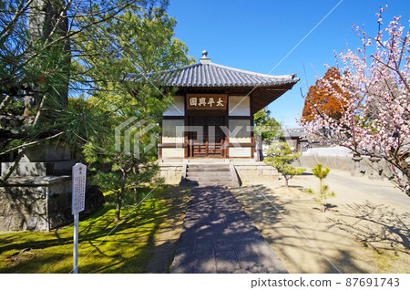 臨濟宗 Umerinji 佛教教科書和久留米市的梅花 臨濟宗 Umerinji 佛教教科書和久留米市的梅花 87691743