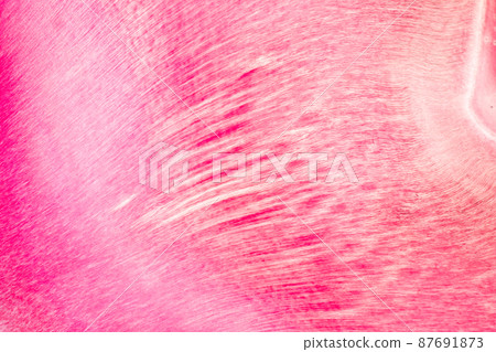 Tooth development from human under microscope view for education. 87691873