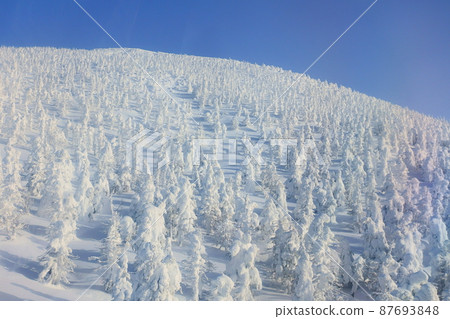 Rime on trees, hoarfrost, Zao 87693848