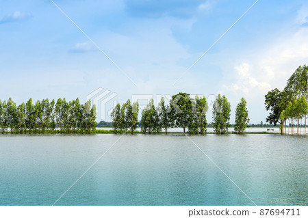 Scenic view of traditional flooded fields like a still lake on floating season in rural Thailand. Landscape of nature in rainy season and storm damage in agriculture. Heavy flood water concept. Scenic view of traditional flooded fields like a still lake on floating season in rural Thailand. Landscape of nature in rainy season and storm damage in agriculture. Heavy flood water concept. 87694711