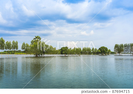 Scenic view of traditional flooded fields like a still lake on floating season in rural Thailand. Landscape of nature in rainy season and storm damage in agriculture. Heavy flood water concept. Scenic view of traditional flooded fields like a still lake on floating season in rural Thailand. Landscape of nature in rainy season and storm damage in agriculture. Heavy flood water concept. 87694715