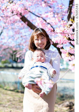 Family photo cherry blossom viewing Family photo cherry blossom viewing 87695343