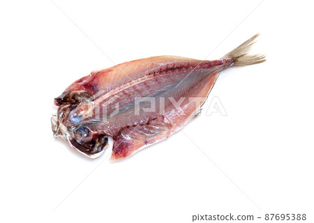Opening of horse mackerel in the near sea, dried fish [white background] 87695388