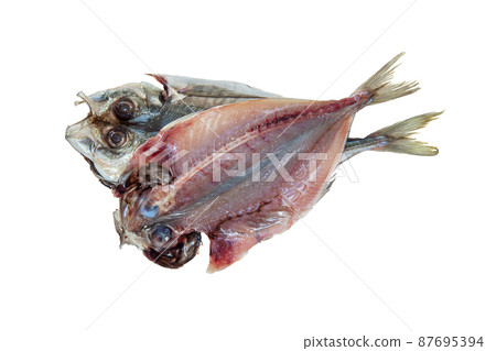 Opening of horse mackerel in the near sea, dried fish [white background] 87695394