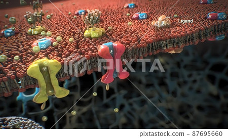 The assembly and functioning of proteins in a cell The assembly and functioning of proteins in a cell 87695660