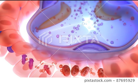 3D illustration alveoli blood and oxygen 3D illustration alveoli blood and oxygen 87695929