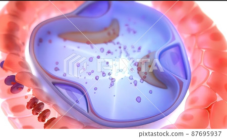 3D illustration alveoli blood and oxygen 87695937