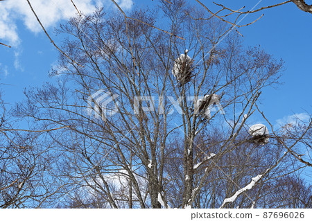 Bear shelf with blue sky and snow in the winter forest Bear shelf with blue sky and snow in the winter forest 87696026
