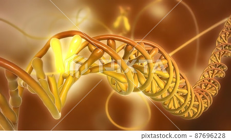 DNA or deoxyribonucleic acid DNA or deoxyribonucleic acid 87696228