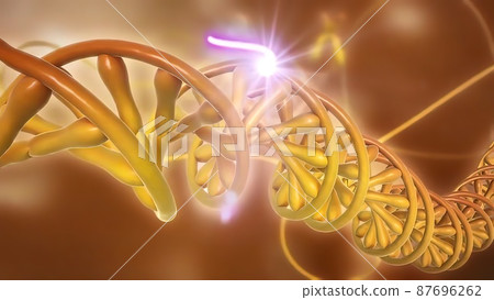 DNA or deoxyribonucleic acid DNA or deoxyribonucleic acid 87696262