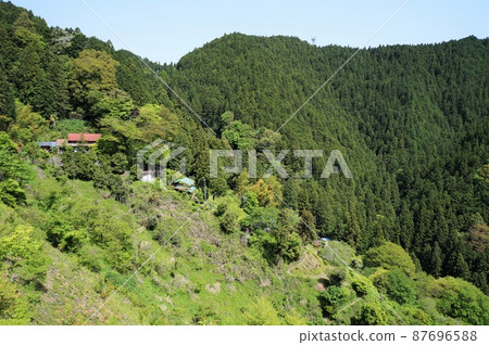 Fresh green Hinohara Village (near Tokisaka Pass) Fresh green Hinohara Village (near Tokisaka Pass) 87696588