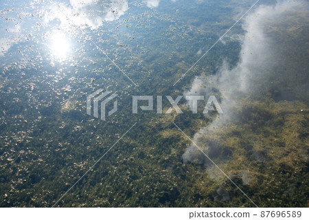 The surface of the water that reflects the clear sky and forest The surface of the water that reflects the clear sky and forest 87696589