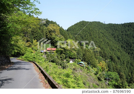 Fresh green Hinohara Village (near Tokisaka Pass) Fresh green Hinohara Village (near Tokisaka Pass) 87696590