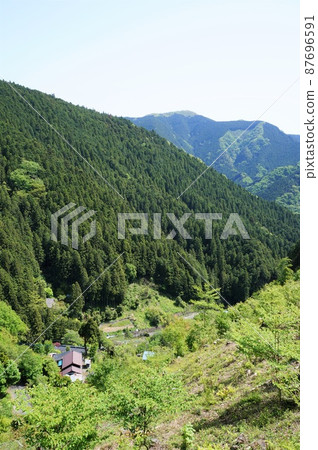 Fresh greenery in Hinode Village (near Tokisaka Pass) [Nishitama District, Tokyo] 87696591