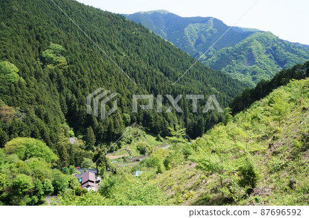 Fresh greenery in Hinode Village (near Tokisaka Pass) [Nishitama District, Tokyo] 87696592