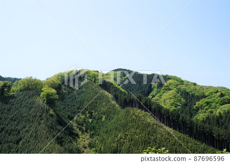 鮮綠的檜原村,仙間嶺 鮮綠的檜原村,仙間嶺 87696596