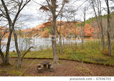 觀音沼森林公園的紅葉 2021-11-3 #33 觀音沼森林公園的紅葉 2021-11-3 #33 87696705