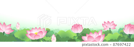 Lotus flower lotus root field farm Lotus flower lotus root field farm 87697422