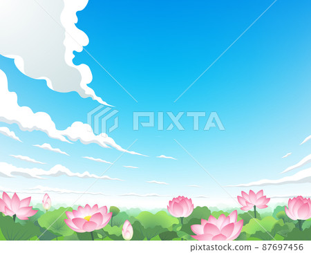 Lotus flower lotus root field farm 87697456