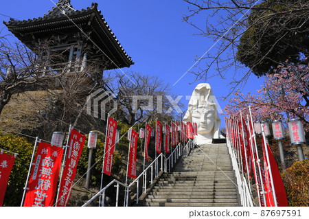 March 1339 Ofuna Kannon and Kawazu Sakura / Ofuna Kannonji Temple March 1339 Ofuna Kannon and Kawazu Sakura / Ofuna Kannonji Temple 87697591