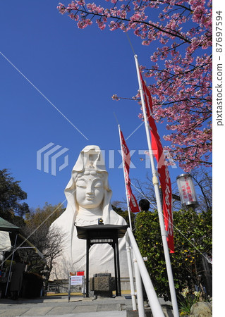 March Kamakura 1342 Ofuna Kannon and Kawazu Sakura / Ofuna Kannonji 87697594