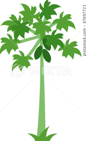 papaya tree flat illustration 87697721