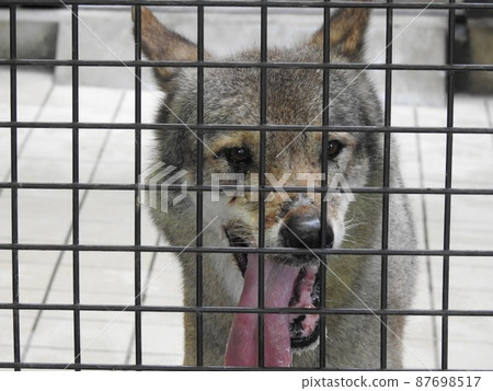 你是誰？ 87698517