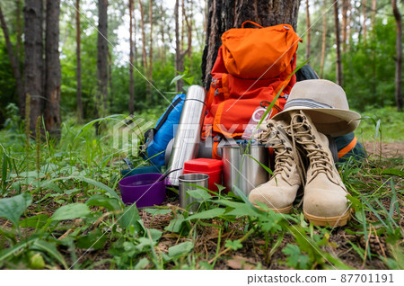 Hiking equipment in a pine forest. Backpack, thermos, sleeping bag, compass, hat and shoes 87701191