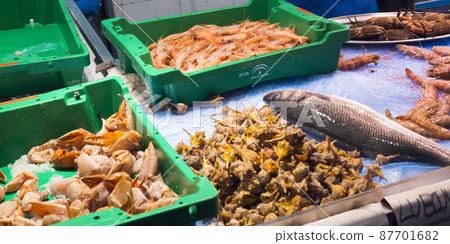 Fresh Seafood at Central Food Market 87701682